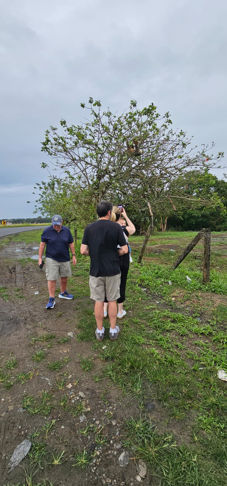 Jaguar Rescue Center