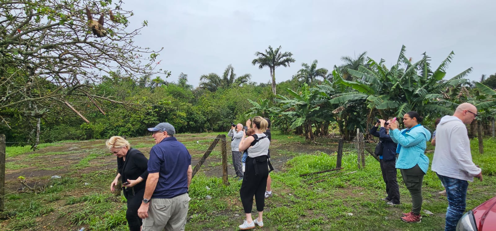 Tortuguero Canal & Cahuita National Park